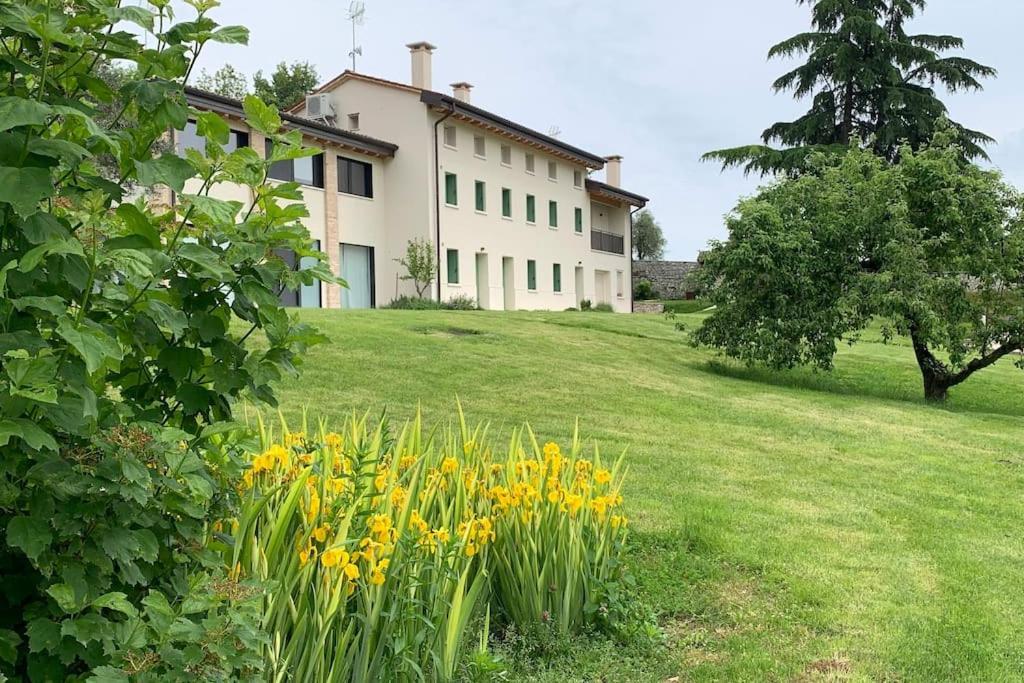 Casa Cedro - Il Brolo Villa Cavaso Del Tomba Eksteriør billede